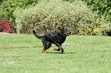 BEAUCERON 837